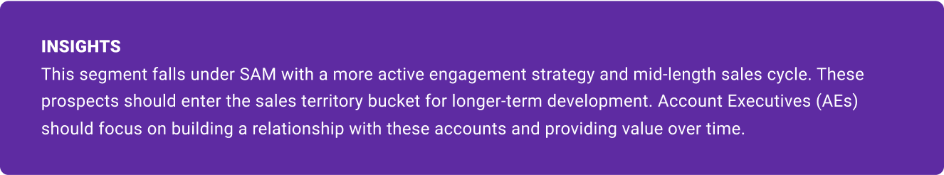 Purple insights callout box reading: "This segment falls under SAM with a more active engagement strategy and mid-length sales cycle. These prospects should enter the sales territory bucket for longer-term development. Account Executives (AEs) should focus on building a relationship with these accounts and providing value over time.