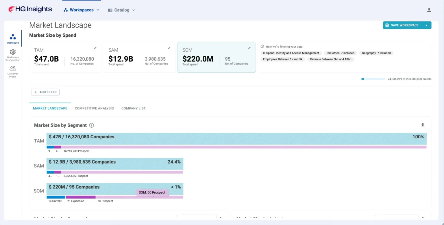 Whitespace segmentation view separating expansion accounts from net-new prospects